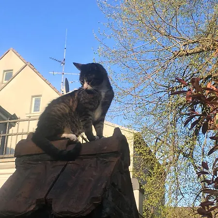 Sima Habitación en casa particular *